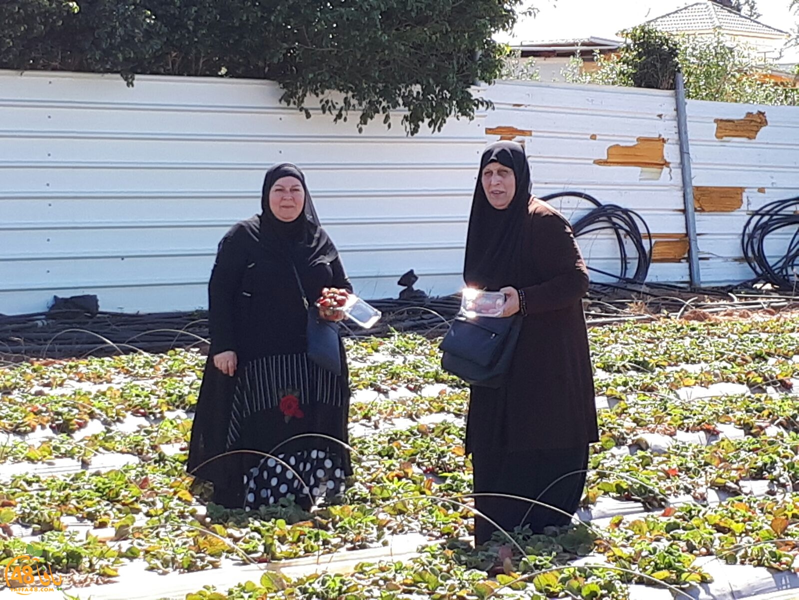 ab7bableaqsaa3 (44).jpg